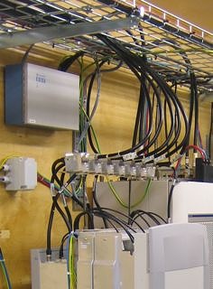 IMG 2133 Cropped Small